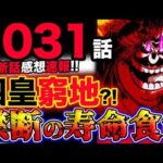 【ワンピース 最新話衝撃感想】科学の戦士！四皇ビッグマムが窮地？禁断の寿命食い！！(予想妄想考察)