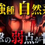 自然系の弱点が衝撃的すぎた!!覇気ではなく〇〇!!!【ワンピース考察】