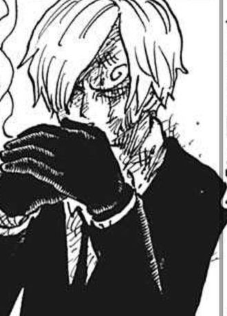 悲報 ワンピースのサンジ 数日間の間に強くなりすぎ 気ままに ワンピース ひとつなぎの秘宝を求めて