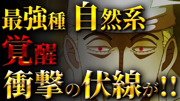 〇〇島の天候は自然系の能力者による影響だった…!!!【ワンピース考察】