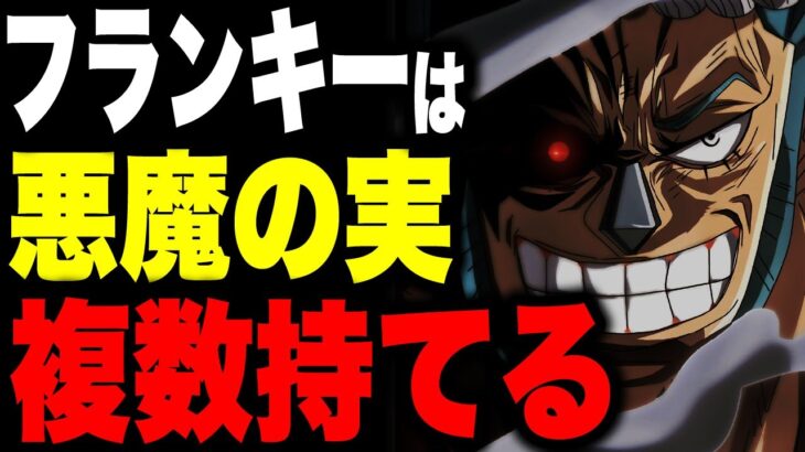 いよいよ悪魔の実の能力複数持てるメカニズムが解明される…!!?【ワンピース考察】