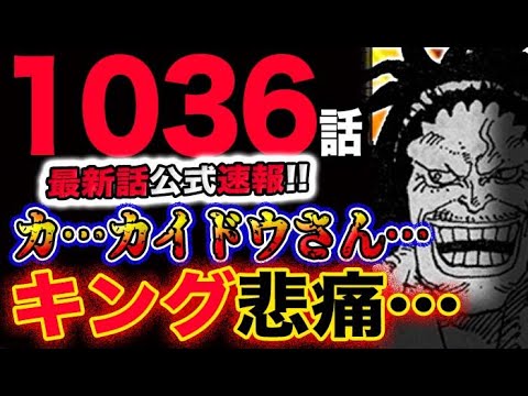 【ワンピース 最新話公式速報】キング悲痛！カ…カイドウさん…！！ゾロの勝利確定？！(予想妄想考察)