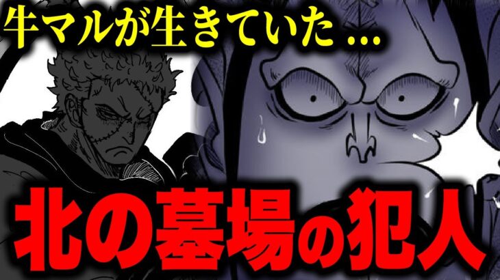 誰も覚えていない重要伏線…!!!「北の墓場のオバケ騒動」【ワンピース考察】