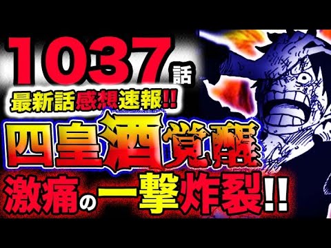 【ワンピース 最新話感想速報】四皇カイドウが酒覚醒！ルフィに激痛の一撃が炸裂！！(予想妄想考察)