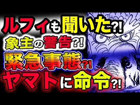 【ワンピース ネタバレ予想】ルフィも聞いた？象主の警告？モモの助が焦る緊急事態？ヤマトに命令？！(予想妄想考察)