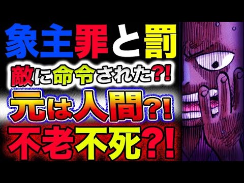 【ワンピース ネタバレ予想】象主の正体とは？象主の罪と罰？象主に命令したのは？(予想妄想考察)