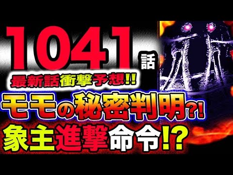 【ワンピース 最新話衝撃予想】モモの助の秘密が遂に判明？象主に進撃命令？！(予想妄想考察)