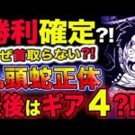 【ワンピース ネタバレ予想】ルフィ勝利確定？九頭蛇正体？最後はギア４？なぜ首を取らない？！(予想妄想考察)