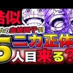 【ワンピース 最新話衝撃感想】ニカの正体がヤバい！笑いの血統因子？ギア５と五人目が同時に来る？！(予想妄想)