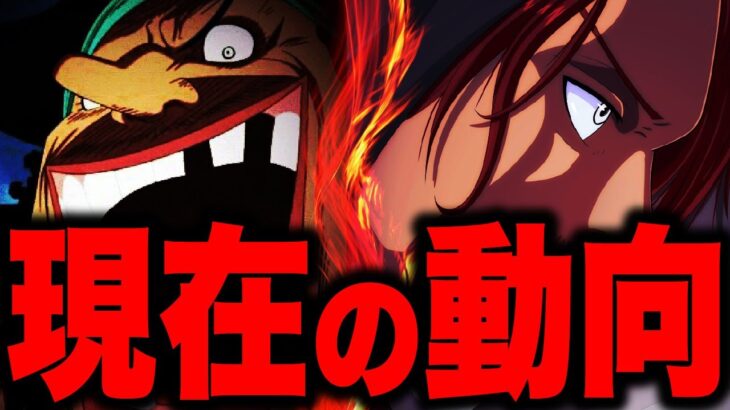 遂に判明した正体と黒ひげとシャンクスのとんでもない現状..【ワンピース考察】