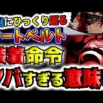 【ワンピース ネタバレ予想】全部の謎が解明される？全て下ごしらえだった！ここからがONE PIECE！とは、どういう意味なのか？なぜシートベルトが必要なのか？(予想妄想)