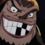 【ONEPIECE -ワンピース】黒ひげさん、その圧倒的カリスマと頭脳で部下に完璧な指示を出していたｗｗｗ