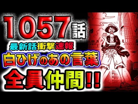 【ワンピース 最新話衝撃速報】ワン国編完全完結！全員仲間！(予想妄想)