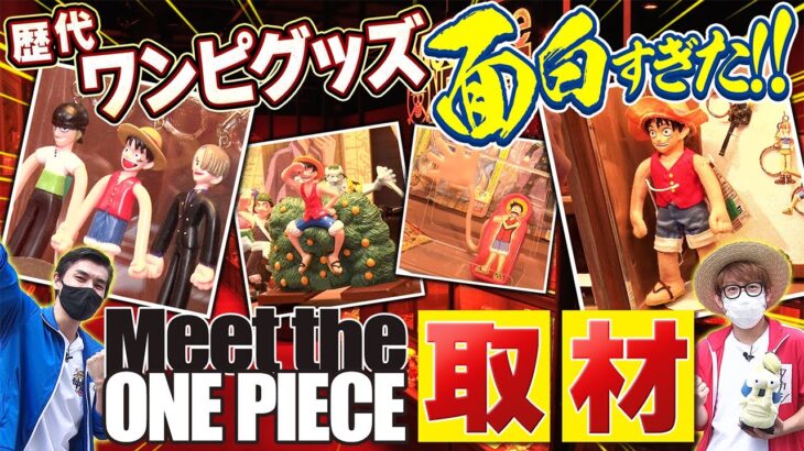 【こんなのあった!?】あらゆるONE PIECEグッズ大集合【仲間がいるよTube!!!!】