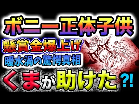 【ワンピース 最新話】なぜボニーがいたのか？なぜボニーは子どもなのか？くまがボニーを助けた？(予想妄想)