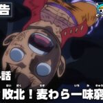 ONE PIECE 1034話予告「ルフィ敗北！麦わら一味窮地！？」