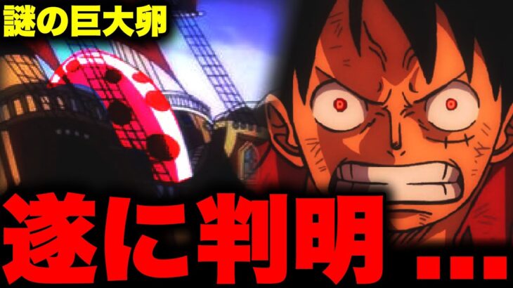 遂に判明するロジャーの船に乗っている卵とエッグヘッドの関係がヤバい…!!?【ワンピース考察】