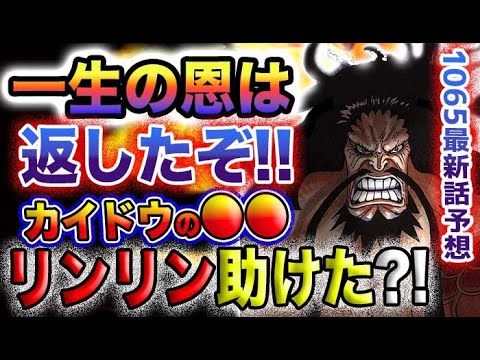 【ワンピース ネタバレ予想】ビッグマムは生きている？一生の恩は返した？！ビッグマムを救ったのはカイドウだった？(予想妄想)