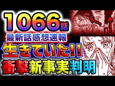 【ワンピース 最新話速報】アイツは生きていた！衝撃の新事実が判明！ロビンが大号泣！！(予想妄想)