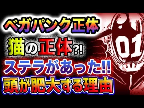 【ワンピース 最新話】クローバー博士の正体とは？ベガパンクの正体判明？「本体（ステラ）」はあった！「猫」の正体とは？！(予想妄想)