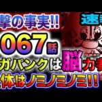 【ワンピース 最新話衝撃速報】いきなり凄いネタバレ！ベガパンクは脳力者！！正体は、ノミノミノミ！！(予想妄想)