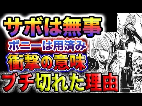 【ワンピース 最新話】くまとベガパンクの関係とは？渡さねばならん物とは？サボは無事なのか？(予想妄想)