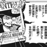 【ONEPIECE -ワンピース】鷹の目のミホーク(懸賞金35億9000万)←未だに謎なんだがｗｗｗ