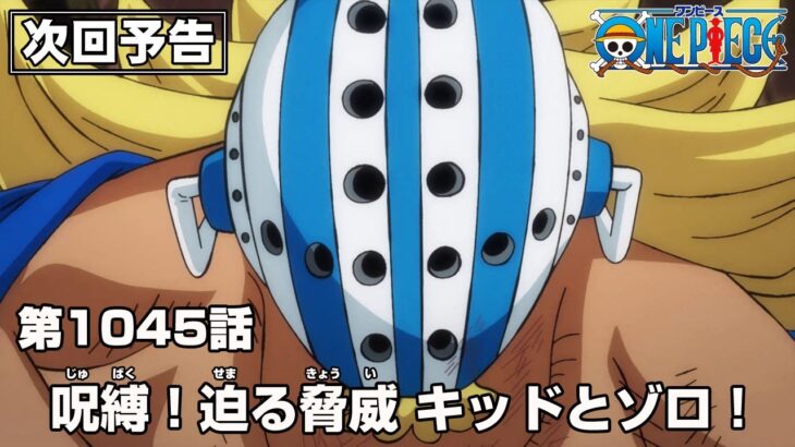 ONE PIECE 1045話予告「呪縛！迫る脅威 キッドとゾロ！」