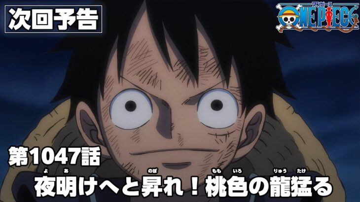 ONE PIECE 1047話予告「夜明けへと昇れ！桃色の龍猛る」