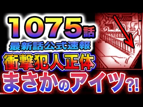 【ワンピース 1075話公式速報】ベガパンクを襲った犯人の衝撃正体とは？まさかのアイツだった？！(予想妄想)