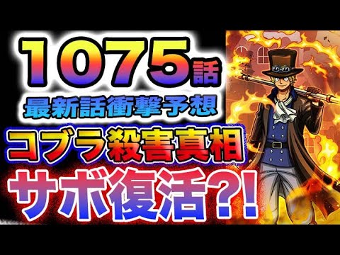 【ワンピース 1075最新話予想】ワポルは何をした？ビビは何をした？サボが復活する？(予想妄想)