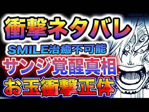 【ワンピース ネタバレ】105巻で衝撃の事実が次々と判明！サンジの異常な炎の耐性！SMILEは治らない！お玉の正体が判明！(予想妄想)