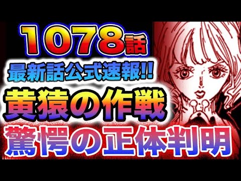 【ワンピース 1078最新話公式速報】黄猿の作戦の正体が判明！犯人はまさかの？戦桃丸とステューシーが！(予想妄想)