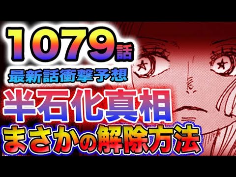 【ワンピース 1079最新話予想】フランキーが半分だけ石化した理由とは？石化の解除は可能か？S-ホークに狙われたのは誰？(予想妄想)