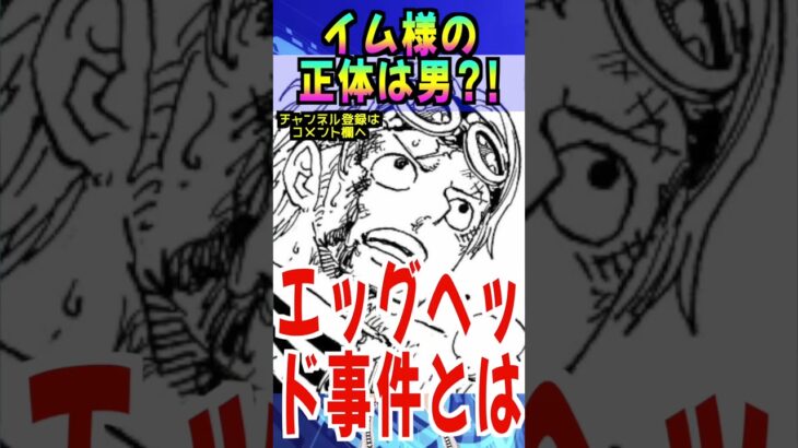 【ワンピース イム様は女性か？男性か？】(予想妄想)