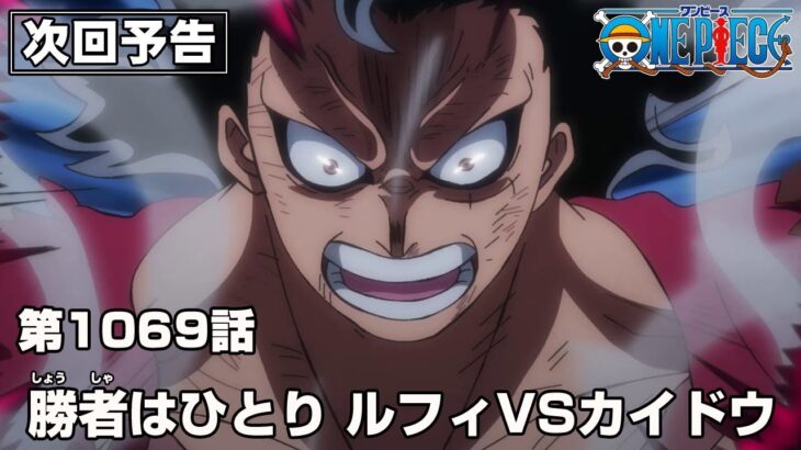 ONE PIECE 1069話予告勝者はひとり ルフィVSカイドウ