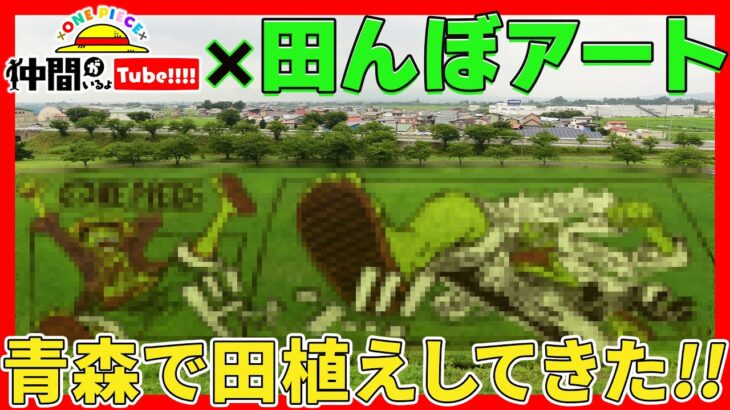 【田んぼアート】田植えでできるワンピのアートはなんでしょう!?【仲間がいるよTube!!!!】