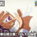 ONE PIECE 「ルフィ先輩応援企画！ バルトの秘密の部屋3！」