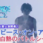 『ワンピース・オン・アイス』麦わらの一味vsバロックワークス