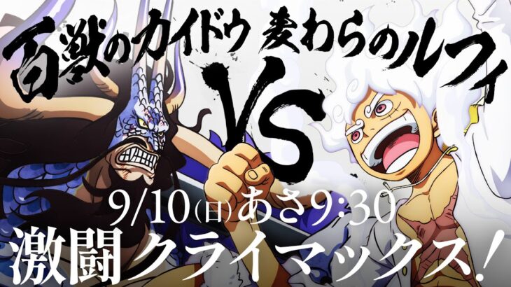 9月10日（日）放送！「ルフィVSカイドウ」激闘クライマックス！