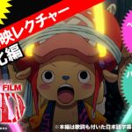 【FILM RED】応援上映レクチャー！！〜強化編〜 by チョッパー隊長 #OP_FILMRED #チョッパー #CHOPPER
