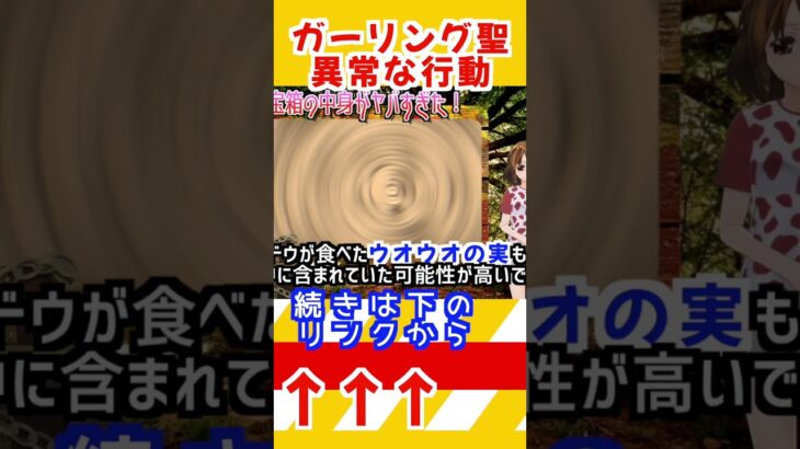 【ワンピース 1096ネタバレ予想】ミイ予告ガーリング聖 異常な行動(予想妄想) #ワンピースネタバレ #ワンピース