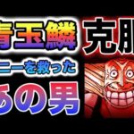 【ワンピース 1098・1099ネタバレ予想】青玉鱗の秘密がヤバい！なぜボニーは治ったのか？トシトシの実の力なのか？ドラゴンがアドバイス？(予想妄想)