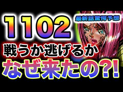 【ワンピース 1102最新話ネタバレ予想】くまがくる！何しに来る？エッグヘッド事件の真相とは？(予想妄想)