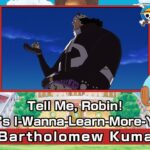 Tell Me, Robin! Chopper’s I-Wanna-Learn-More-You-Fool! 〜Bartholomew Kuma〜