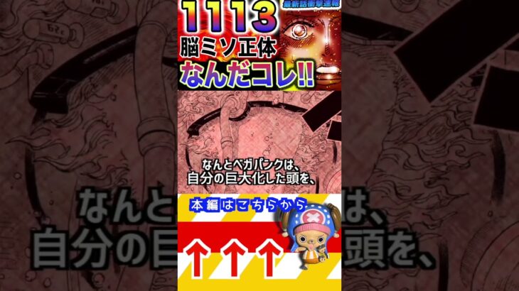 【ワンピース ネタバレベガパンク脳ミソ1予想】(予想妄想)#ワンピース　#ワンピースネタバレ #ONEPIECE #ワンピース最新話