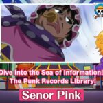 Dive into the Sea of Information!  The Punk Records Library!〜Senor Pink〜