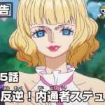 ONE PIECE 1105話予告「麗しき反逆！内通者ステューシー」