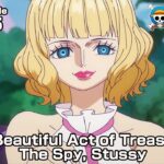 ONE PIECE episode1105Teaser “A Beautiful Act of Treason! The Spy, Stussy”