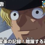 ONE PIECE 予告「荒ぶる変革の記録 （ログ）！暗躍する革命軍！」